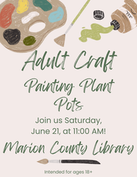 Adult Craft Painting Plant Pots